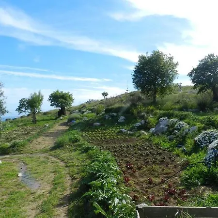 Azienda Agricola Fattoria Terranov Farm stay *