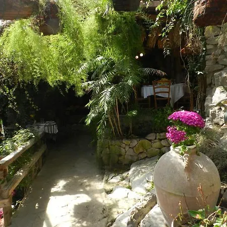 Farm stay Azienda Agricola Fattoria Terranov *