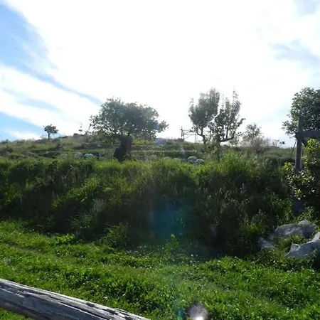 Farmház Azienda Agricola Fattoria Terranov Sorrento